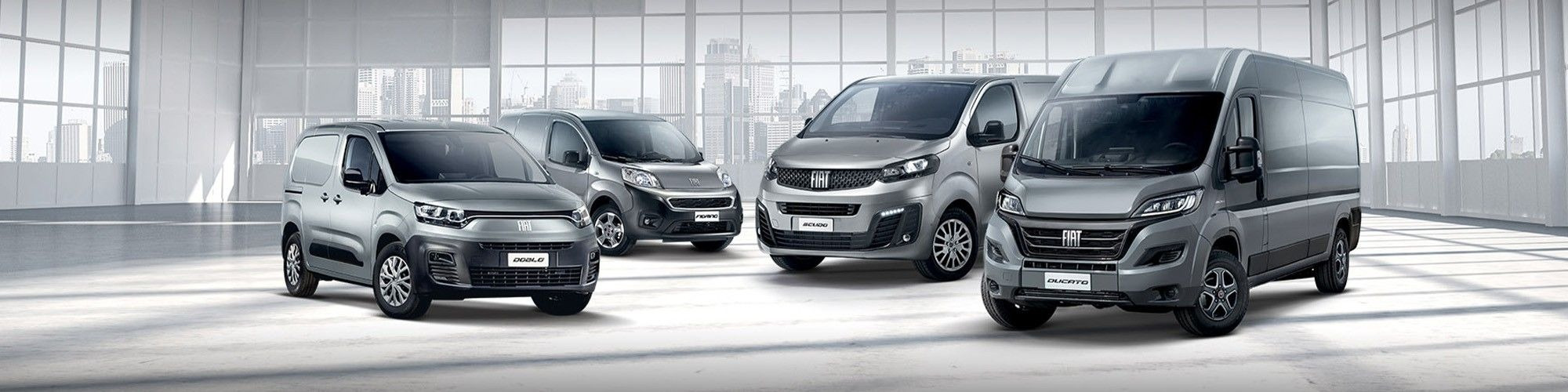 Fiat Business at Regency Cars Newtownards