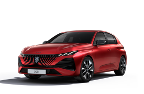 PEUGEOT 308 HATCHBACK at Regency Cars Newtownards Newtownards