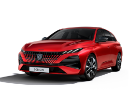 PEUGEOT 308 SW ESTATE at Regency Cars Newtownards Newtownards