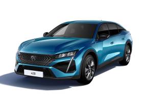 PEUGEOT 408 FASTBACK at Regency Cars Newtownards Newtownards